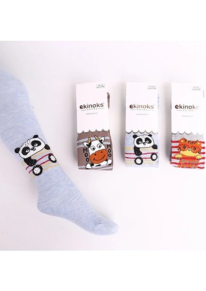 Ekinoks Erkek Çocuk Desenli Külotlu Çorap 3’lü Paket – Yumuşak, Esnek ve Pamuklu (0-1 / 1-2 / 3-4 / 5-6 Yaş) fiyatları