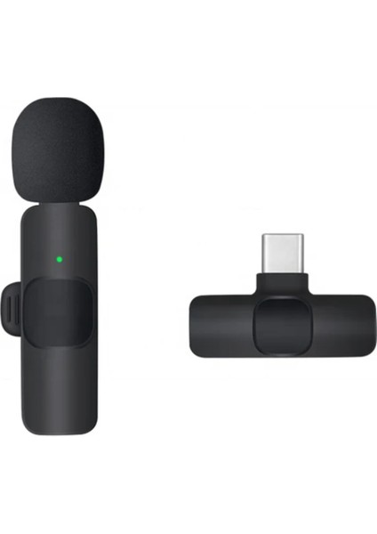 ZR561 Sx5 Lightning Dock Model Tekli Mikrofon fiyatları