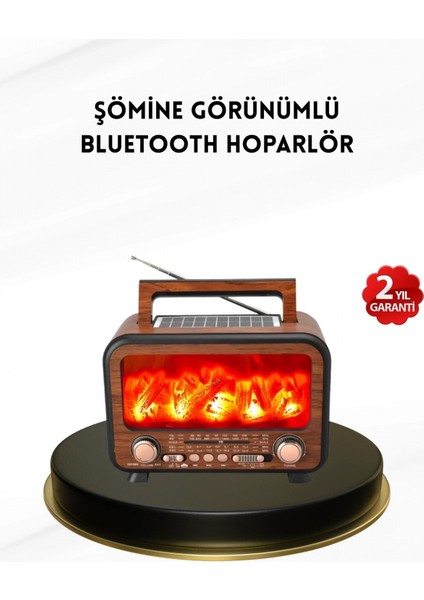 Alev Işığı Efektli Solar Bluetooth Hoparlör Radyo Destekli Taşınabilir Model