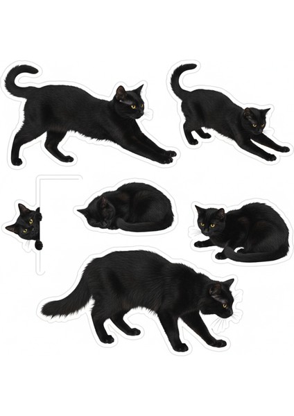 Kediler Telefon Laptop Notebook Tablet Defter Matara Stiker Etiket ST2350