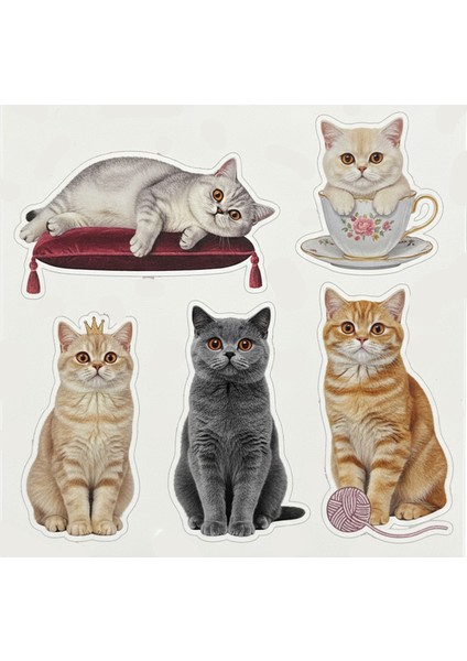 Kediler Telefon Laptop Notebook Tablet Defter Matara Stiker Etiket ST2343