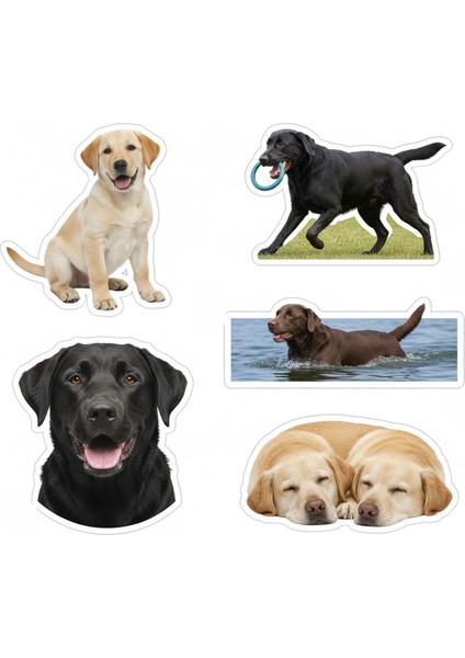 Köpekler Telefon Laptop Notebook Tablet Defter Matara Stiker Etiket ST2333