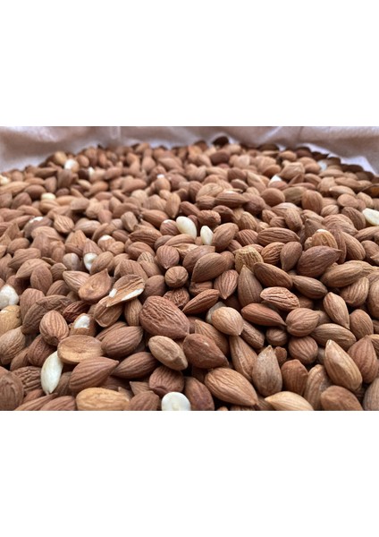 Malatya Sarı Kayısı Çekirdeği (Yeni Sezon 2025-26) 700 gr modelleri