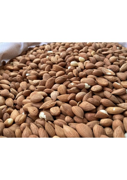 Malatya Sarı Kayısı Çekirdeği (Yeni Sezon 2025-26) 700 gr fırsatları