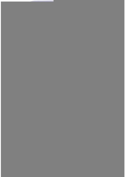 Xiaomi Redmi 9c Kılıf Palm Buzlu Kamera Sürgülü Silikon - Lila