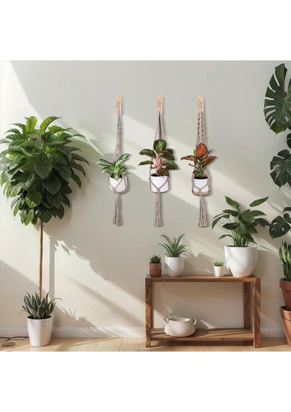4 Adet Asılı Bitki Askısı T Şeklinde Bitki Kancaları 7.55 Inç Ahşap Duvara Monte Edilmiş Bitki Braketi Duvar Bitki Tutucusu Kapalı (Yurt Dışından) modelleri