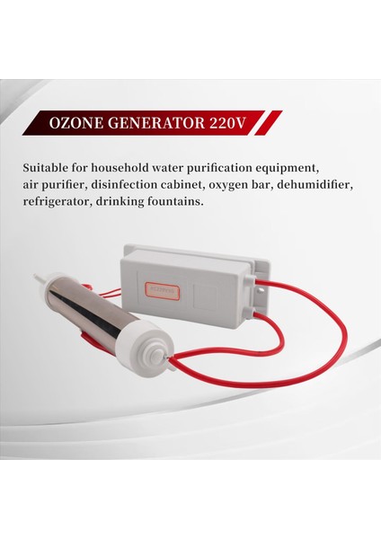 3g Ozon Jeneratörü 220V Hava Seraplatıcı Ozon Sterilizatör Paslanmaz Çelik Kuvars Tüp Su Için Hava Ozonatör Makinesi (Yurt Dışından) indirimleri