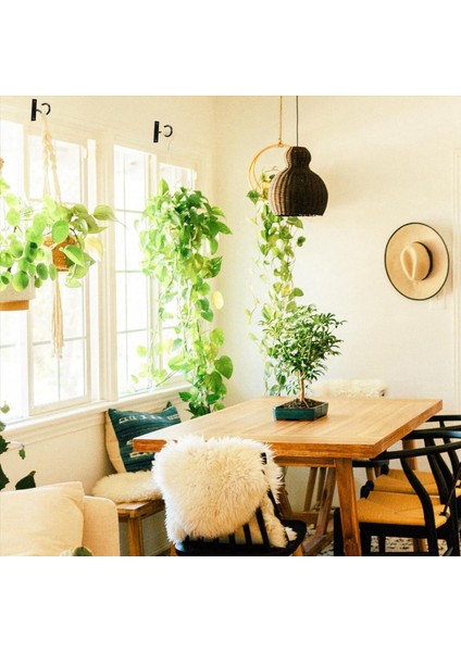 Asma Bitki Için Tavan Kancaları, Kapalı ve Açık Bitki Kapları Için Askı, Ekiciler Için Duvar Kancası 6 Adet (Yurt Dışından) fırsatları