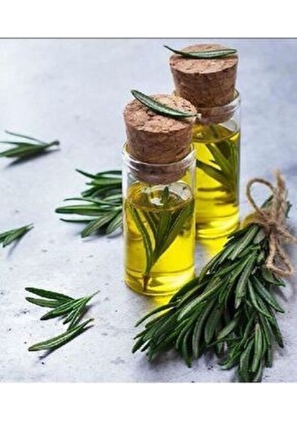 Biberiye Yağı 20 ml Bitkisel Uçucu Yağ Doğal İçeriklerle Üretilmiştir fiyatları