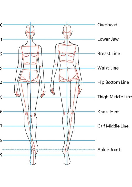Moda Illüstrasyon Yöneticileri Çizim Şablonları Cetvel Dikiş Insansı Desenler Tasarım Giyim Ölçüm, Tip B (Yurt Dışından) modelleri