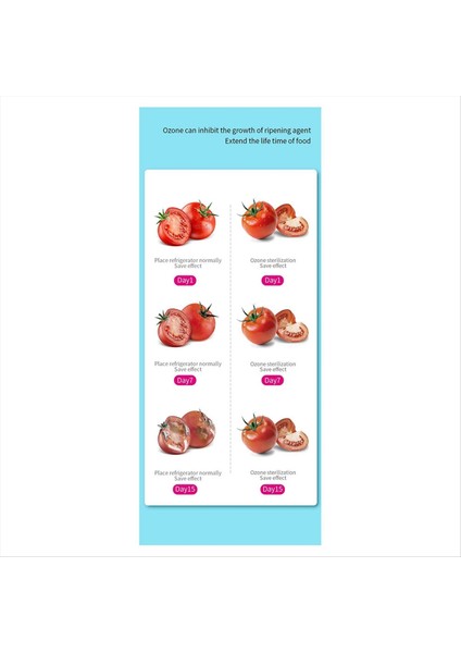 Taşınabilir Ozon Jeneratörü Sterilizatör Hava Arıcı Ozon Elektrikli Buzdolabı Buzdolabı Için Deodorizer (Yurt Dışından) indirimleri