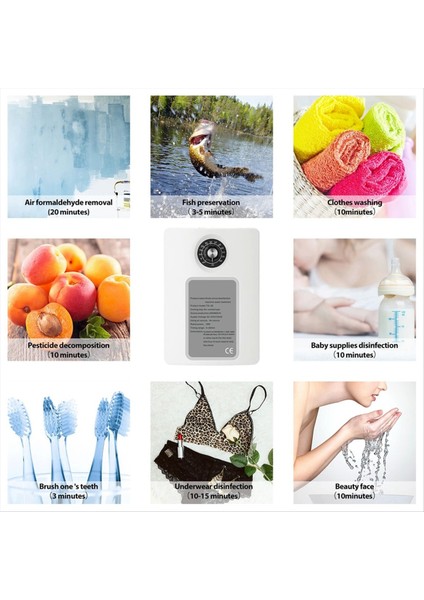 Aktif Ozon Jeneratör Temizleyici 2000MG/S Hava Tazeleme Su Meyvesi Sebze Gıda Gıda Ozon Verimli Iyonlaştırıcı Ab Tıkacı (Yurt Dışından) indirimleri