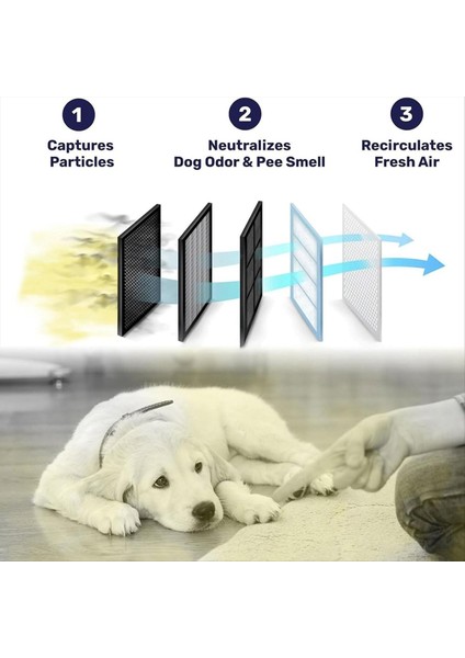 Pet Home Aır Arayıcı Koku Filtresi Taşınabilir ve Sessiz Ev Koku Koruması Kokuları Kaldırır (Yurt Dışından) indirimleri