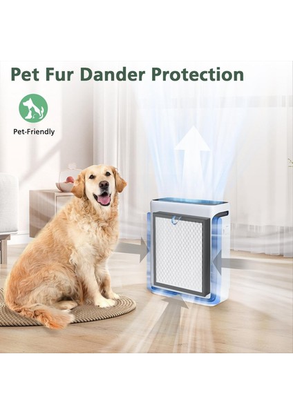 Levoit Vital 100SAIR Arımı, H13 Sınıf Gerçek Hepa ve Verimli Aktif Karbon Için Uyumlu Yedek Filtre (Yurt Dışından) modelleri