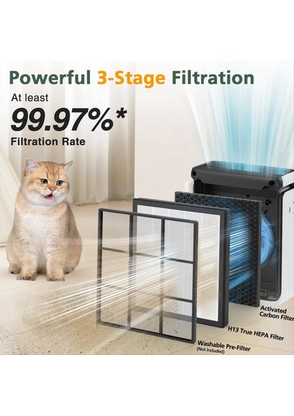 Levoit Vital 100SAIR Arımı, H13 Sınıf Gerçek Hepa ve Verimli Aktif Karbon Için Uyumlu Yedek Filtre (Yurt Dışından) fırsatları