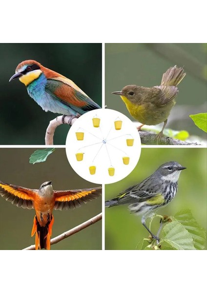 Dönme Dolap Kuş Besleyici Evcil Hayvan Oyu Oyuncaklar 8 Besleme Kovaları Kapalı Dış Mekan Için Gıda Dağıtıcı ile (Yurt Dışından) indirimleri