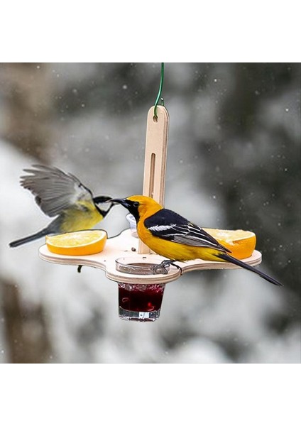 Açık Basit Besleyici, Dıy Tezgah Asma Kuş Besleyici, Taşınabilir Beslenme Istasyonu Bahçe Ev Kuş Kartservasyonu (Yurt Dışından) fiyatları