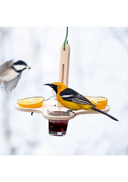 Açık Basit Besleyici, Dıy Tezgah Asma Kuş Besleyici, Taşınabilir Beslenme Istasyonu Bahçe Ev Kuş Kartservasyonu (Yurt Dışından) modelleri