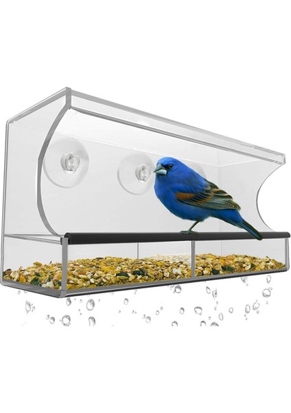 Pencere Kuş Besleyici, Yabani Kuş Besleyici, Şeffaf Pencere Kuş Besleyici, Zarif Kuş Gözlemciliği Si (Yurt Dışından)