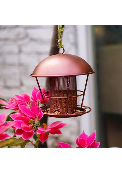 Açık Havada Asılı Için Kuş Besleyici, Anne Büyükanne Kadınları Için Ler, Metal Su Geçirmez Yabani Kuş Besleyicileri Bahçesi (Yurt Dışından) fiyatları