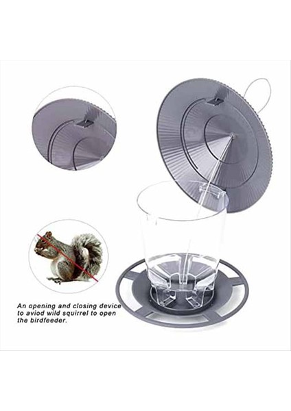 Yabani Kuş Besleyici, Squirrel Geçirmez Kuş Besleyici Dışında, Yuvarlak Şekleli Çatı Kahverengi ile Asılı Yabani Kuş Besleyicisi (Yurt Dışından) fırsatları