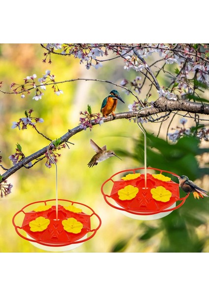 Açık Havada Asılı Karınca ve Arı Kanıtı Için Kuş Besleyicileri, 20 Besleme Portu, Levrek ve Yerleşik Karınca Hendek, Sızıntı Geçirmez (Yurt Dışından) fırsatları