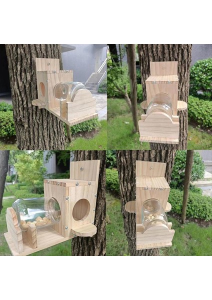 Sincap Besleme Kutusu Dayanıklı Gıda Kabı Ahşap Sincap Evcil Hayvan Gıda Depolama Aletleri Sincap Kuş Besleyici (Yurt Dışından) modelleri