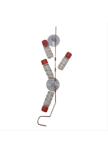 Pencere Kuş Besleyici Hayvan Pencere Kuş Besleyici Emme Bardağı Cam Dekorasyon (Yurt Dışından)