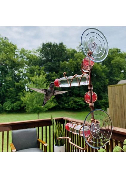 Pencere Kuş Besleyici Hayvan Pencere Kuş Besleyici Emme Bardağı Cam Dekorasyon (Yurt Dışından) fırsatları