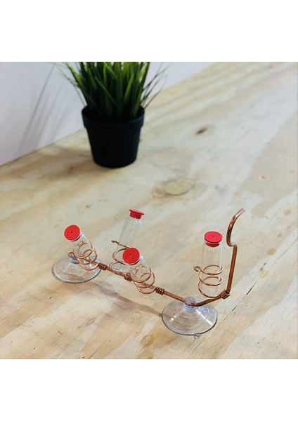 Pencere Kuş Besleyici Hayvan Pencere Kuş Besleyici Emme Bardağı Cam Dekorasyon (Yurt Dışından) indirimleri