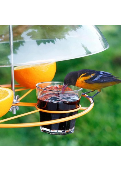 2pcs Anti-Squirrel Kuş Besleyicileri Koruyucu Kapak, Kubbe Koruyucu Kubbesi, Asılı Kuş Besleyicileri Için Yağmur Koruyucu Kapak, C (Yurt Dışından) fırsatları