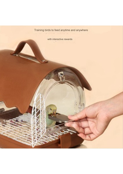 Mini Kuş Eğitim Gıda Kutusu Elde Taşıt Besleyici Besleme Kutusu Eğitim Gıda Kavanoz Kuş Etkileşimli Oyuncak Siyah (Yurt Dışından) fiyatları