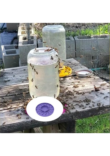 Normal Ağız Için Arı Besleyici Tabanı Mason Kavanoz, Arı Sulama Istasyonu, Bahçe Için Arı Tabanı, Arı Bardak Su Tabanı Için Su Tabanı (Yurt Dışından) modelleri