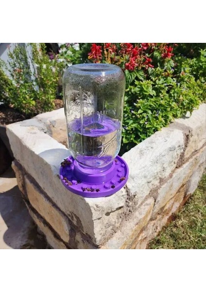 Normal Ağız Için Arı Besleyici Tabanı Mason Kavanoz, Arı Sulama Istasyonu, Bahçe Için Arı Tabanı, Arı Bardak Su Tabanı Için Su Tabanı (Yurt Dışından) fırsatları