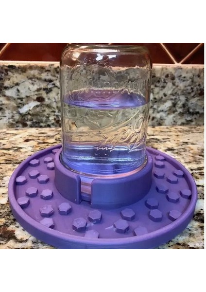 Normal Ağız Için Arı Besleyici Tabanı Mason Kavanoz, Arı Sulama Istasyonu, Bahçe Için Arı Tabanı, Arı Bardak Su Tabanı Için Su Tabanı (Yurt Dışından) indirimleri