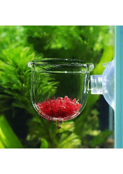 16PCS Su Bitki Fincanları, Şeffaf Akrilik Su Bitki Potu Emişli, Akvaryum Dekorasyonu 2 Şekil (Yurt Dışından) fırsatları