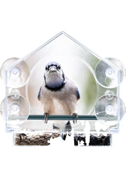 Pencere Kuş Besleyicileri Güçlü Emme Bardakları, Dışarı Için Açık Kuş Besleyici, 2 Bölmeli Kuş Evi Çıkarılabilir Tepsisi (Yurt Dışından) fırsatları