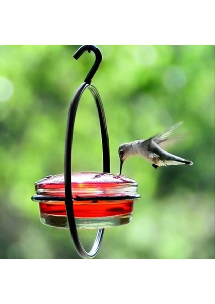 Sinek Kuşu Besleyici, Dairesel Metal Çerçeve ve Metal Şişe ile Güzel Asılı Kuş Besleyici. Sinek Kuşu Besleyici (Yurt Dışından) modelleri
