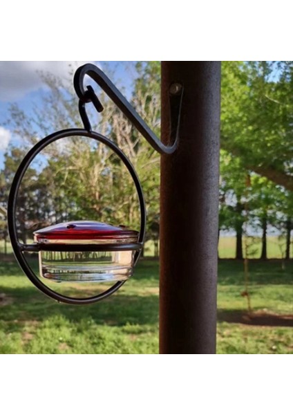 Sinek Kuşu Besleyici, Dairesel Metal Çerçeve ve Metal Şişe ile Güzel Asılı Kuş Besleyici. Sinek Kuşu Besleyici (Yurt Dışından) indirimleri