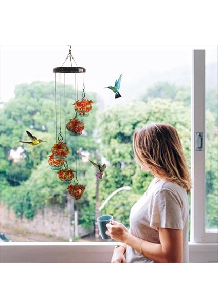 6 Kancalı Cam Pencere Kuş Besleyici Karınca Hendek, Asılı Kuş Besleyici, Bahçe Dekoratif Kuş Besleyici (Yurt Dışından) indirimleri