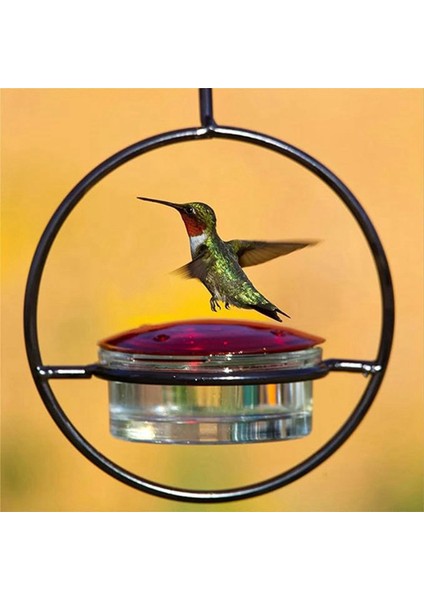 Güzel Dairesel Asılı Kuş Besleyici, Sızıntı Geçirmez Dairesel Asılı Kuş Besleyici, Uğultu Kuş Yemleri (Yurt Dışından) modelleri