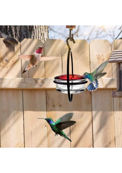 Güzel Dairesel Asılı Kuş Besleyici, Sızıntı Geçirmez Dairesel Asılı Kuş Besleyici, Uğultu Kuş Yemleri (Yurt Dışından) indirimleri