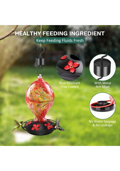 5 Tünemiş El Üflemeli Cam Kuş Besleyicileri, Açık Havada 30 Fuild Oz, C (Yurt Dışından) fırsatları