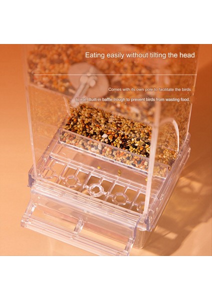 Otomatik Şeffaf Kuş Besleyici, Karışıklık Yok Otomatik Kuş Besleyicisi Şeffaf Gıda Konteyner Kafesi Içen (Yurt Dışından) modelleri