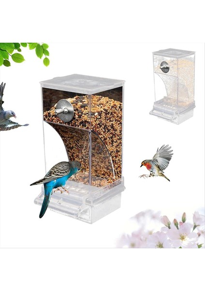 Otomatik Şeffaf Kuş Besleyici, Karışıklık Yok Otomatik Kuş Besleyicisi Şeffaf Gıda Konteyner Kafesi Içen (Yurt Dışından) indirimleri