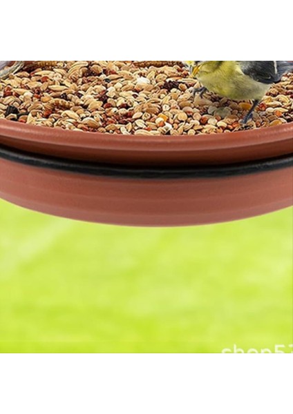 Kuş Besleyici Sincap Kuş Besleyici Asılı Kuş Besleyici Kuş Havuzu Kuş Besleyici Tepsisi Sabit Kuş Tepsisi (2pcs) (Yurt Dışından) fırsatları