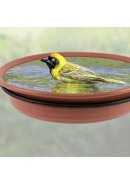 Kuş Besleyici Sincap Kuş Besleyici Asılı Kuş Besleyici Kuş Havuzu Kuş Besleyici Tepsisi Sabit Kuş Tepsisi (2pcs) (Yurt Dışından) indirimleri