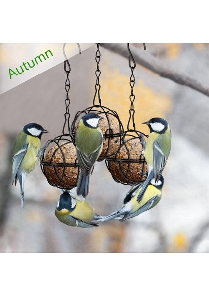 4 Adet Yağ Top Besleyiciler Asılı Kuş Besleyici Metal Yağ Top Kuş Tutucu Açık Bahçe Vahşi Yaşam Kuşları Için Kancalar (Yurt Dışından) fırsatları