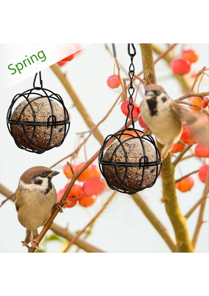 4 Adet Yağ Top Besleyiciler Asılı Kuş Besleyici Metal Yağ Top Kuş Tutucu Açık Bahçe Vahşi Yaşam Kuşları Için Kancalar (Yurt Dışından) indirimleri