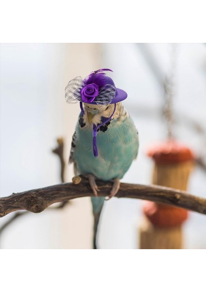 Tavuklar Için 6 Adet Tavuk Şapkaları Tavuklar Için Tavuk Giysileri Kostümleri Tavuklar Için Şapkalar Küçük Şapkalar Küçük Hayvan Şapkaları (Yurt Dışından) fiyatları